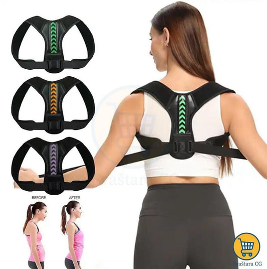 Univerzalni Pojas za ledja